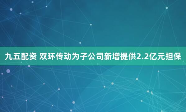 九五配资 双环传动为子公司新增提供2.2亿元担保