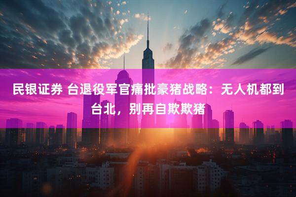 民银证券 台退役军官痛批豪猪战略：无人机都到台北，别再自欺欺猪