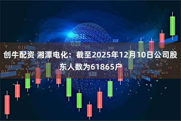 创牛配资 湘潭电化：截至2025年12月10日公司股东人数为61865户