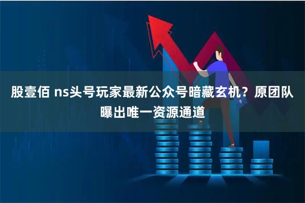 股壹佰 ns头号玩家最新公众号暗藏玄机？原团队曝出唯一资源通道