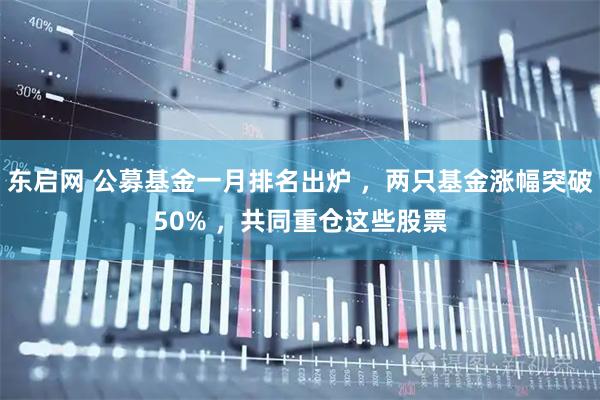 东启网 公募基金一月排名出炉 ，两只基金涨幅突破50% ，共同重仓这些股票